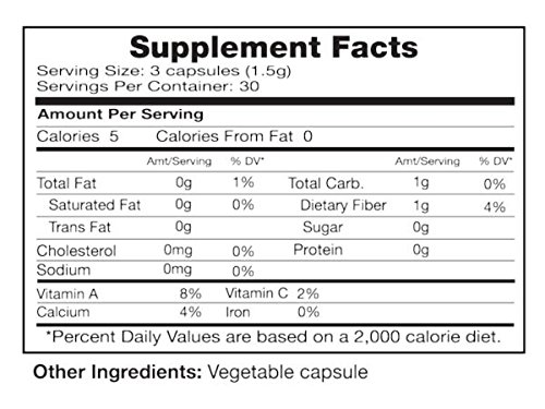 seagate-products-freeze-dried-nopal-cact-2.jpg
