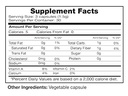 seagate-products-freeze-dried-nopal-cact-2.jpg