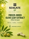 seagate-products-olive-leaf-extract-90-c-3.jpg