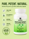 seagate-products-olive-leaf-extract-90-c-4.jpg