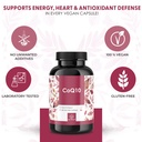 coq10-300-mg-per-capsule-high-potency-co-3.jpg