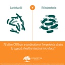genestra-brands-hmf-replete-probiotic-fo-6.jpg