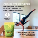ascent-plant-based-protein-powder-non-da-5.jpg