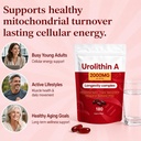 urolithin-a-supplement-1200mg-with-nad-1-6.jpg