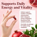 urolithin-a-supplement-1200mg-with-nad-1-3.jpg