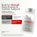 zab-urolithin-a-supplement-softgels-1000-2.jpg