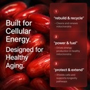 urolithin-a-softgels-supplement-500mg-ce-3.jpg