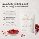 urolithin-a-softgels-supplement-500mg-ce-4.jpg