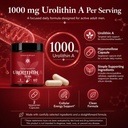 urolithin-a-supplement-1000-mg-cellular--2.jpg