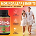 organic-cadane-moringa-powder-capsules-4-4.jpg