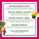 orgain-organic-vegan-protein-powder-pean-5.jpg