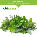 naturalma-guarana-paullinia-cupana-seed--4.jpg