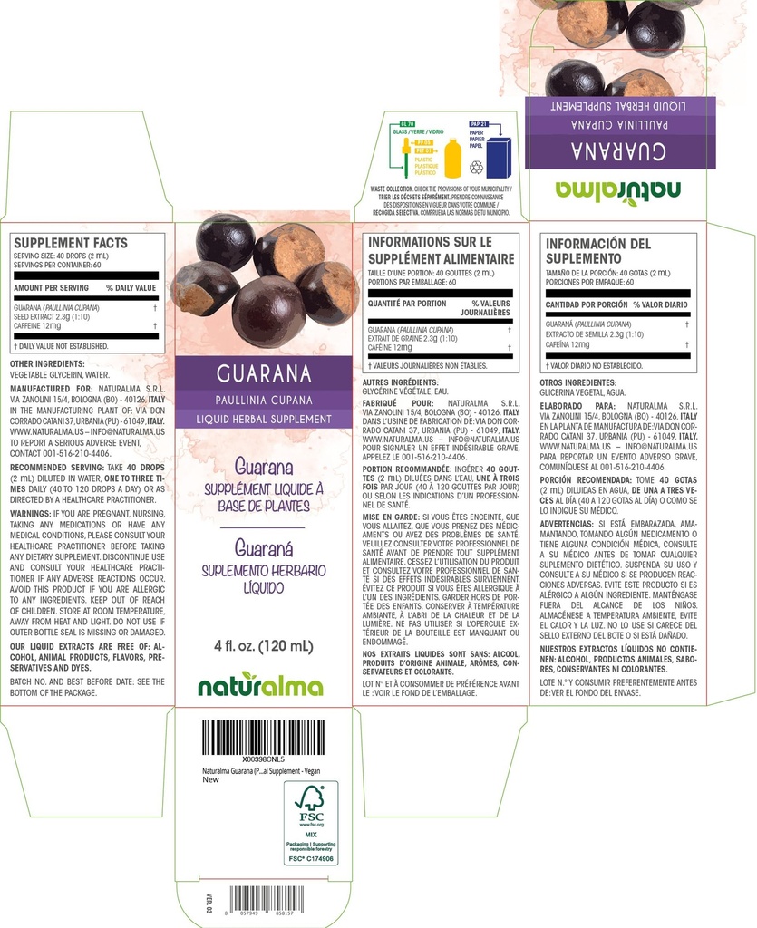 naturalma-guarana-paullinia-cupana-seed--2.jpg