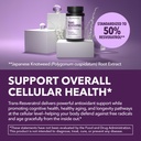 resveratrol-500mg-per-serving-vegan-non--4.jpg