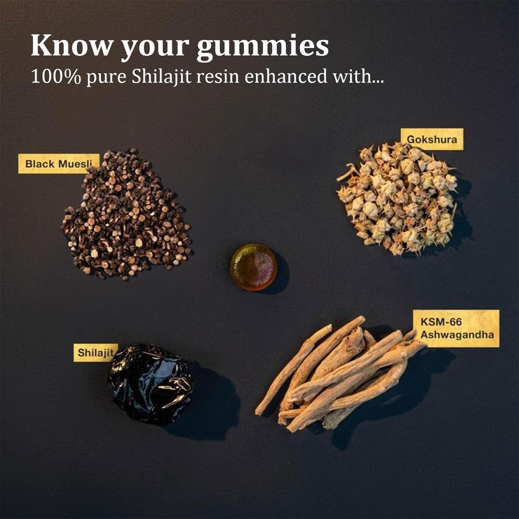 shilajit-gummies-alpha-gummies-for-men-l-3.jpg