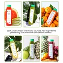 raw-fountain-juice-cleanse-5-day-tropica-2.jpg