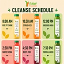 raw-fountain-juice-cleanse-5-day-tropica-4.jpg