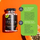 karamd-lectin-guard-gut-repair-colon-cle-3.jpg