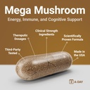 procera-mega-mushroom-improved-memory-na-4.jpg