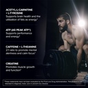 designs-for-sport-workout-complex---nsf--3.jpg