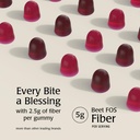 prebiotic-fiber-gummies-for-adults-kids--2.jpg