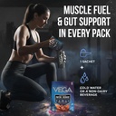 vega-protein-recovery-chocolate-30g-vega-6.jpg