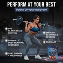 vega-protein-recovery-chocolate-30g-vega-3.jpg