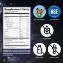 vega-protein-recovery-chocolate-30g-vega-4.jpg