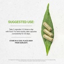 secrets-of-the-tribe-prosta-vigor-health-2.jpg