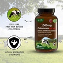 bovine-colostrum-capsules-1000mg-capsule-2.jpg