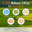 innate-vitality-probiotics-120-billion-c-4.jpg