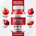 5-pack-bio-fuel-keto-acv-gummies-advance-5.jpg