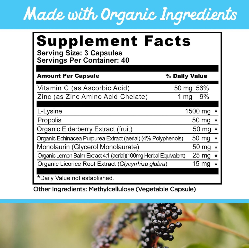 best-cold-sore-supplement-with-lysine-an-6.jpg