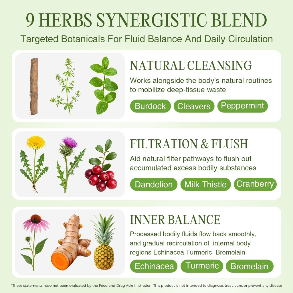 greenpeople-lymphatic-drainage-kidney-su-3.jpg