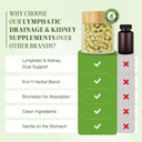 greenpeople-lymphatic-drainage-kidney-su-6.jpg