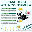 lymphatic-drainage-supplements-herbal-ly-3.jpg