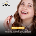 pure-sundried-himalayan-shilajit-gummy-f-4.jpg