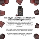 pure-sundried-himalayan-shilajit-gummy-f-6.jpg