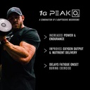 jacked-factory-nitrosurge-pre-workout-in-4.jpg