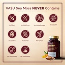 vasu-sea-moss-capsules-100-count-sea-mos-6.jpg