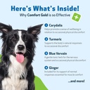 pet-wellbeing-comfort-gold-for-dogs---su-6.jpg