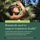 gaia-herbs-mighty-lungs---lung-support-s-5.jpg