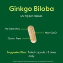 bestvite-ginkgo-biloba-120mg-240-capsule-4.jpg