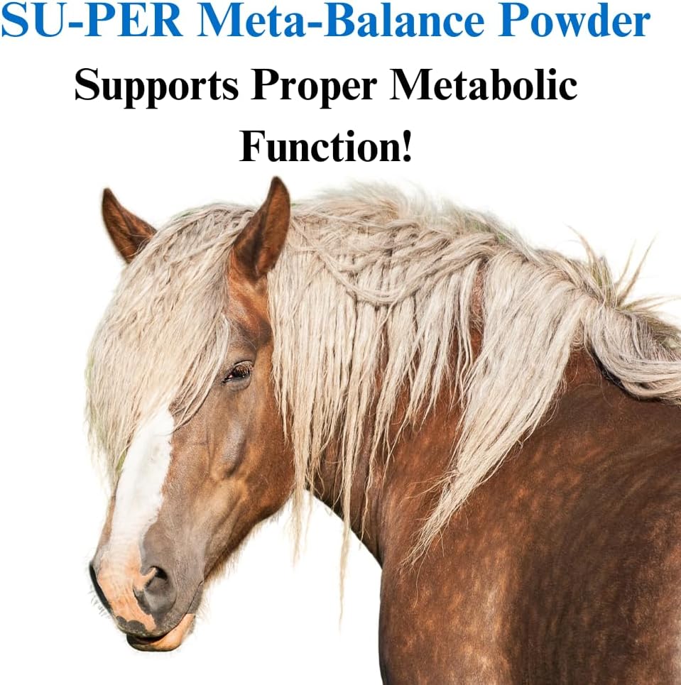 su-per-meta-balance-horse-metabolic-supp-2.jpg