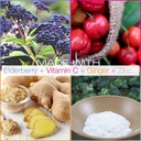smarter-elderberry-capsules-vitamin-c-gi-5.jpg