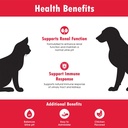 renakitin-kidney-supplements-for-dogs-ca-6.jpg