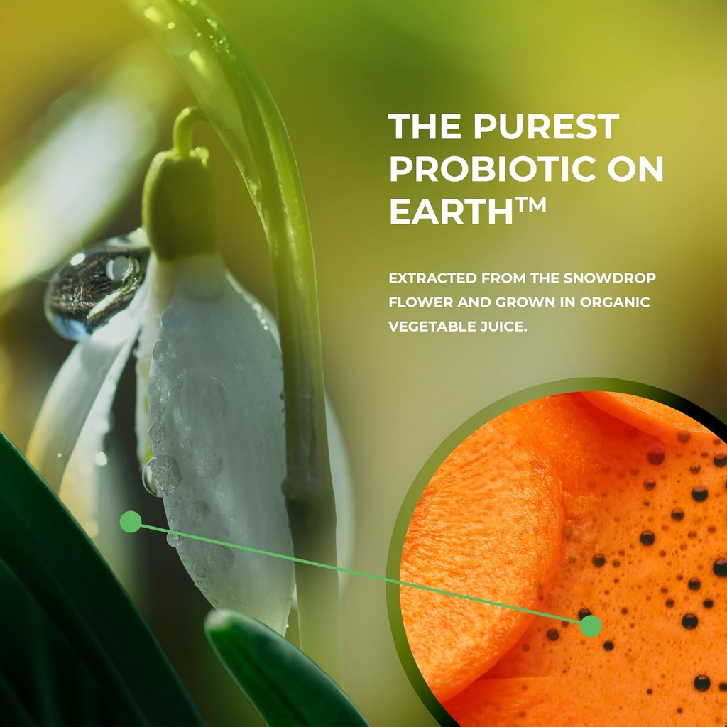 vegan-probiotic-supplement---patented-fo-6.jpg