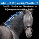 su-per-di-calcium-phosphate-horse-minera-4.jpg