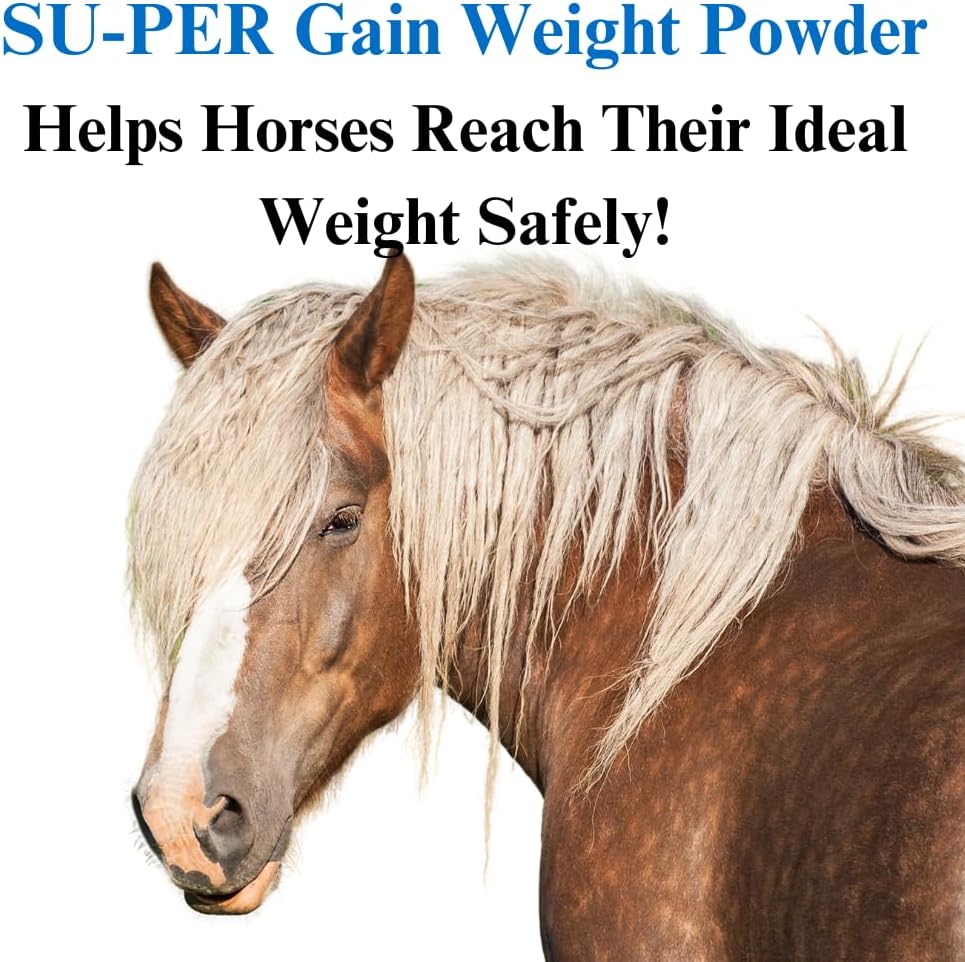 su-per-gain-weight-for-horses---equine-s-2.jpg