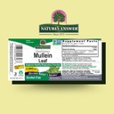 natures-answer-mullein-leaf-herbal-suppl-2.jpg